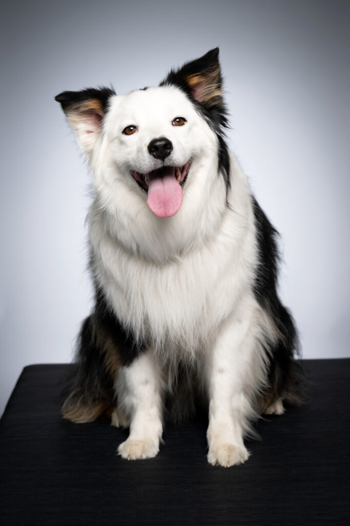 KALI
